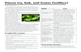 Poison Ivy, Oak, and Sumac FactSheet · HS04-064B(3-07) Poison Ivy, Oak, and Sumac FactSheet Employers and employees should take precautions when working in and around wooded areas