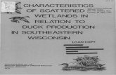c. ., ,. WETLANDS IN RELATION TO DUCK PRODUCTION IN ...dnr.wi.gov/files/PDF/pubs/ss/SS0116.pdfcurrent ground censuses of random plots. Random plot censuses proved to be the best method