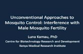 Unconventional Approaches to Mosquito Control ...Giemsa stain, relative sperm densities; Ponlawat and Harrington 2007) Egg laying by females mated with the males; mating 6 days post-emergence,