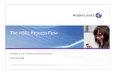 NSDL Process Flow - files.sjtag.orgfiles.sjtag.org/Brad/NSDL_Process_Flow.pdf · The NSDL Process Flow System Level Embedded Testing Bradford G. Van Treuren and Michele Portolan November