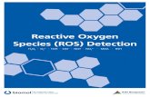 Reactive Oxygen Species (ROS) Detection 2017-2018 · 2017. 7. 6. · ROS. Our ROS products include novel fluorescent indicators and assay kits to detect various reactive oxygen species