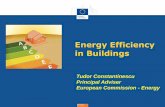 Energy Efficiency in Buildings - ENTRANZE€¦ · Most EU financial instruments are in form of grants or technical assistance: . Structural & Cohesion funds (ERDF, Cohesion fund…)