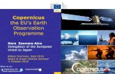 the EU's Earth Observation Programme · Copernicus’ medium resolution land and ocean mission combining OLCI colour, SLSTR temperature, ... Service portfolio: 11 product groups with
