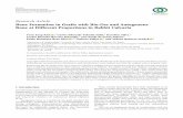 BoneFormationinGraftswithBio-OssandAutogenous ...downloads.hindawi.com/journals/ijd/2020/2494128.pdf · [7]C. Maiorana, P. P. Poli, A. Mascellaro, S. Ferrario, and M. Beretta, “Dental