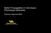 Belief Propagation in Genotype- Phenotype Networks€¦ · - Preliminaries: data, QTL - Approaches and Limitations .94.79 .97 .5.88.93.82.96.97.93.99.98.94 .72.63.77 Chr4@ 53.16cM