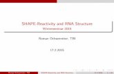 SHAPE-Reactivity and RNA Structure · Overview RNA-Probing RNA Probing Di erent methodological approches Modi cation rates depend on local RNA structure Roman Ochsenreiter, TBI SHAPE-Reactivity