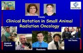 Faculty Clinical Rotation in Small Animal Radiation Oncology€¦ · Clinical Rotation in Small Animal Radiation Oncology Faculty. Vet Techs. Residents. Medical. Physicist. Radiotherapy