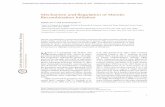 Mechanism and Regulation of Meiotic Recombination Initiationcshperspectives.cshlp.org/content/7/1/a016634.full.pdf · 2014. 12. 22. · Mechanism and Regulation of Meiotic Recombination