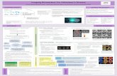 Imaging Biomarkers For Alzheimer’s Disease...Imaging techniques have proven to be promising biomarkers for detecting Alzheimer’sdisease pathological processes, but still more research
