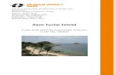 Save Turtle Island - DiVA portal424765/FULLTEXT01.pdf · Save Turtle Island: A case study about the sustainability of tourism in Koh Tao, Thailand Sammanfattning Titel: Save Turtle