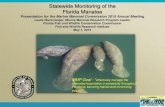 Statewide Monitoring of the Florida Manatee · manatees, but used occasionally (deep water) • Combining multiple sources of information from dual observers, repeated passes, and