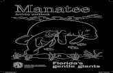 Manatee Booklet.indd 1 10/21/08 1:51:25 AM€¦ · 1. Manatees eat plants that grow in the water. These plants are called aquatic vegetation. Aquatic vegetation is the best type of