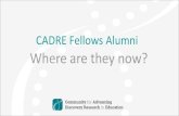 CADRE Fellows Alumni: Where Are They Now?cadrek12.org/sites/default/files/The CADRE Fellows Alumni_updated … · organizing, and presenting complex research and technical information