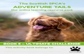 The Scottish SPCA’s ADVENTURE TAILS...Hi, I’m Gibson! Welcome back to the Scottish SPCA’s Adventure Tails. Congratulations on reaching the final stage on your quest to become