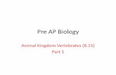 Pre AP Biology - Weeblyrussellscienceworld.weebly.com/uploads/3/7/4/1/... · Chordata Evolution. Vertebrate Basic Body Structure. Cephalization. Axial Skeleton. Appendages of the