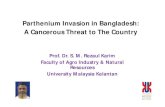 Parthenium Invasion in Bangladesh: A Cancerous Threat to ...benjapan.org/wea_files/16Rezaulkarim.pdfParthenium Invasion in Bangladesh: A Cancerous Threat to The Country Prof. Dr. S.