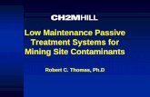 Low Maintenance Passive Treatment Systems for Mining Site … · 2016. 1. 22. · Slaking House 13 • Any zero or low ... Efficient passive treatment systems create conditions that