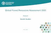 Global Forest Resources Assessment (FRA) 2020 South Sudan - … · 2020. 7. 16. · FRA 2020 report, South Sudan 5 1 Forest extent, characteristics and changes 1a Extent of forest