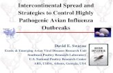 Intercontinental Spread and Strategies to Control Highly ... · David E. Swayne Exotic & Emerging Avian Viral Diseases Research Unit Southeast Poultry Research Laboratory U.S. National