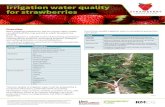 Irrigation water quality for strawberries - Hort Innovation · Use of poor quality irrigation water in strawberry production can cause: Irrigation water quality for strawberries This