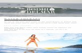 WATER THERAPY - silviamordini.files.wordpress.com · transportation to popular breaks like Playa Garza, Ostional, Marbella, Camaronal Price for surf session $200, *Additional person