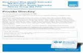 Blue Cross Blue Shield Nebraska MA Access SM (PPO) Blue ... · Retiree Group MA PPO Provider Directory This directory is current as of September 01, 2020. This directory provides
