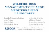 WILDFIRE RISK MANAGEMENT ON LARGE MEDITERRANEAN … · Wildfire risk causative factors Hazard: potential for loss given a fire event, related to fire intensity. Exposure: juxtaposition