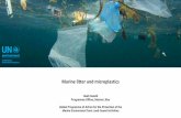 Marine litter and microplastics - unemg.org · ( ~20 through EMG) Inventory on plastics and chemicals Guidelines for single-use plastics policies -> online toolkit Cost of action