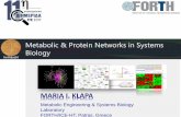 Metabolic & Protein Networks in Systems Biology · Metabolic Network Reconstruction & Analysis. Metabolomics in industrial cell culture engineering Collaboration with Bayer HealthCare,
