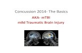 Concussion 2014- The Basics · 2014. 4. 8. · Certified Chiropractic Sports Physician (CCSP-ACBSP)-2006 Internationally Certified Chiropractic Sports Physician (ICCSP-FICS)-2013