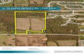 70 ACRES MERRITT RD. - FOR SALE · • Development directly to the west selling new homes in mid $200k range OFFERING SUMMARY Sale Price: $1,000,000 Price / Acre: $14,286 Lot Size: