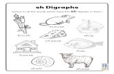 sh Digraphs - Teaching Ideassh Digraphs Colour in all the words which have the sh digraph in them. mouse ship fish brush cheese house shell sheep s
