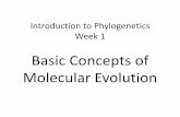 Basic Concepts of Molecular Evolutionsf34/class_home/phylo/Week1Lecture.pdfIntroduction to Phylogenetics Week 1 Basic Concepts of Molecular Evolution . I. Basic Concepts •Most life