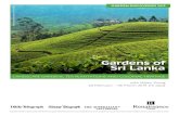 Gardens of Sri Lanka - gardentravelhub.com...Indian pitta (Pitta brachyura) and cinereous tit (Parus cinereus mahrattarum). Dinner is at the hotel. B L D Fri 01 Mar Nuwara Eliya –