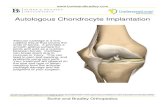 Autologous Chondrocyte Implantation · Autologous Chondrocyte Implantation Articular cartilage is a firm, rubbery tissue that covers the ends of bones. It provides a smooth gliding