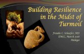 Frauke C. Schaefer, MD EMCC, March 2018 Malaga · Building Resilience: Assess & Strengthen ... RESOURCES to build biological resilience (books, websites, apps, training materials)