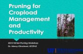 Pruning for Cropload Management and Productivity Pruning Principles for Orchards Pruning: Develops strong