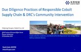 Due Diligence Practices of Responsible Cobalt Supply Chain ......The RCI aims to identify and respond to the social and environmental risks along the supply chain in a systematic way.