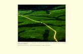 The mosaiclands: A mosaic of citrus plantation and rainforest in …€¦ · unbroken blocs of the Amazon and Congo basins and Indonesian forests relative to the fragmented forests