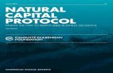 POLICY BRIEF EN NATURAL CAPITAL PROTOCOL€¦ · capital into business strategy. Natural Capital is the stock of Earth’s natural resources (e.g. water, soil, air, rivers, oceans