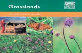 Grasslands - Scottish Natural Heritage 2001 - Scotland's Living...grasslands, providing a backdrop familiar to every Of were created by man are by They cre OF a for a Wide Of different