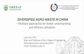DIVERSIFIED AGRO-WASTE IN âڑ«Annual output in China Animal manure: 3.8 billion tons Crop residues: 900