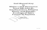 Soil Based Key - USDA · 27/04/2013  · June 2008 Soil Based Key . to . Major Land Resource Area (MLRA) 41, Southeastern Arizona Basin and Range, Ecological Sites . Found in Arizona