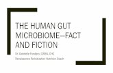 THE HUMAN GUT MICROBIOME—FACT AND FICTION · The Gut Microbiome – Bacteria (~99%) ~100 trillion bacteria with 1000’s species and millions of genes – Archaea Methanogens –