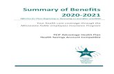 Summary of Benefits 2020-2021...Summary of Benefits 2020-2021 Effective for Plans Beginning or Renewing on and After 1/1/2020 Your health care coverage through the Minnesota Public