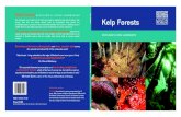 KELP Kelp · PDF file Kelp Forests SCOTLAND’S LIVING LANDSCAPES Stunning underwater photographsand clear, concise textconvey the colourful and vibrant life of this underwater world.