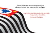 Atualidades no manejo das cigarrinhas da cana-de-açúcar€¦ · PowerPoint Presentation Author: Marcelo Santos Created Date: 8/24/2016 11:32:59 AM ...