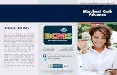About BCMS - Banc Certified Merchant Services · Merchant Cash Advance About BCMS Formed over two decades ago, Banc Certified Merchant Services (BCMS) has grown to handle more than