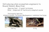 Introducing alien ecosystem engineers to Round Island ...Climate1)… · Introducing alien ecosystem engineers to Round Island, Mauritius Species lost – 2 giant tortoises Role –