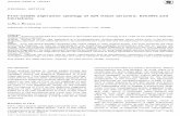 Fine-needle aspiration cytology of soft tissue sarcoma: bene® ts …downloads.hindawi.com/journals/sarcoma/1998/590469.pdf · 2019. 8. 1. · Bene® ts and limitations of FNA cytology